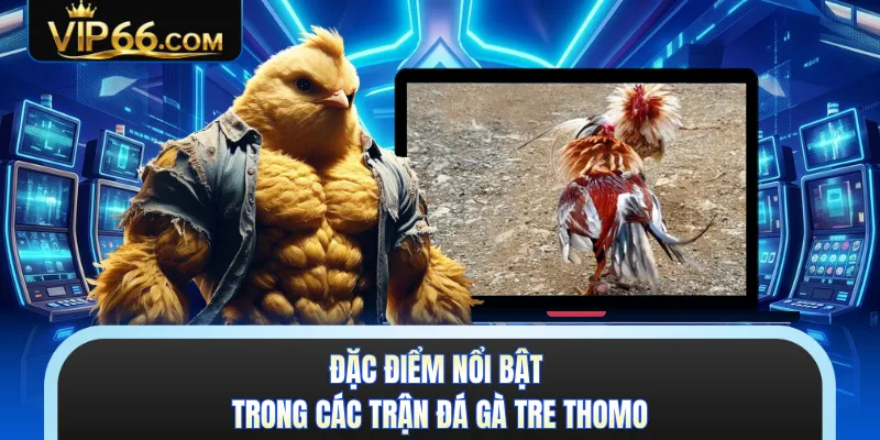 Đặc điểm nổi bật trong các trận đá gà tre Thomo